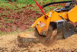 How Our Tree Care Process Works  in  Blackfoot, ID